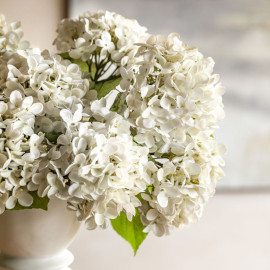 Vintage Hydrangea Floral Stem – Ivory 